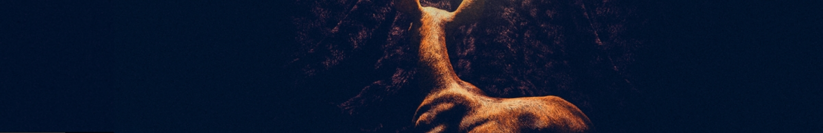 Junip Walking Lightly By Junip junip walking lightly by junip